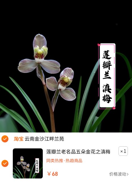 素材图片 (自定义).jpg