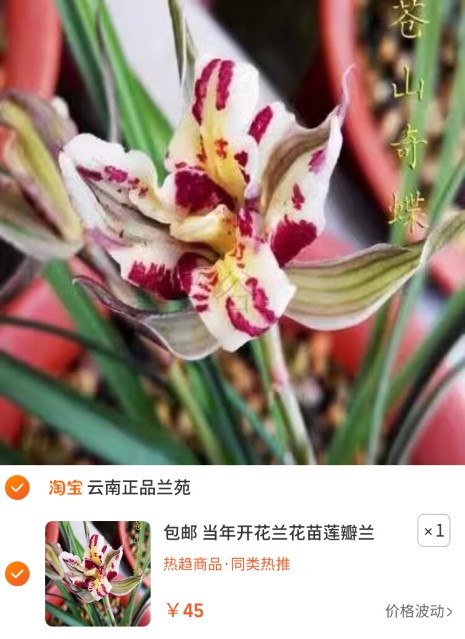 素材图片 (1) (自定义).jpg